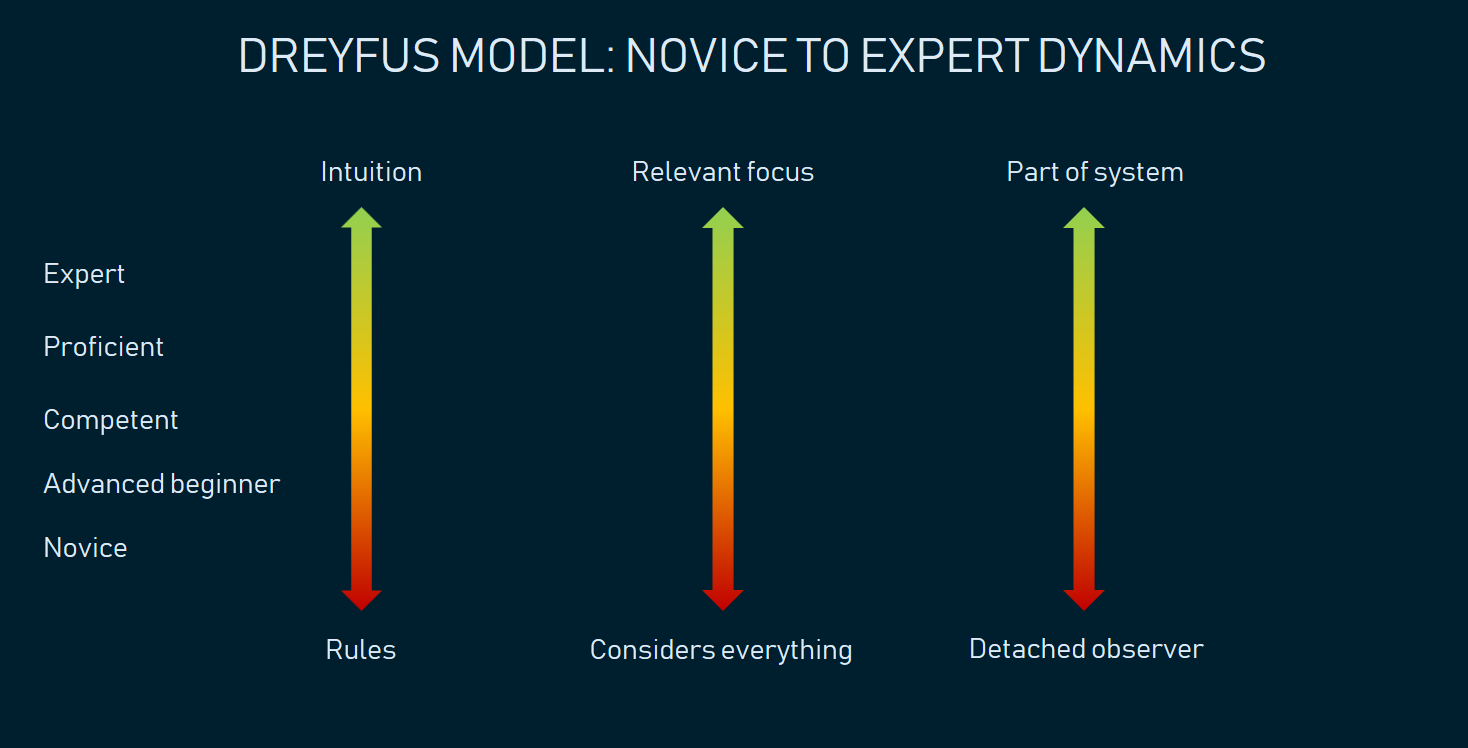 The five Dreyfus model stages illustrating the most important changes on the way from Novice to Expert