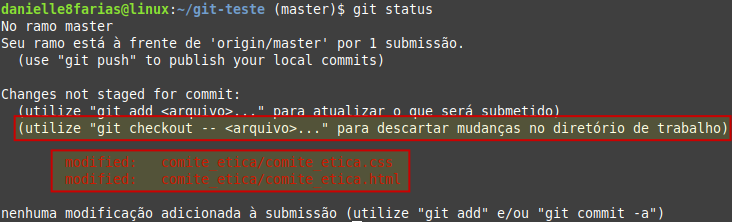 dois arquivos modificados