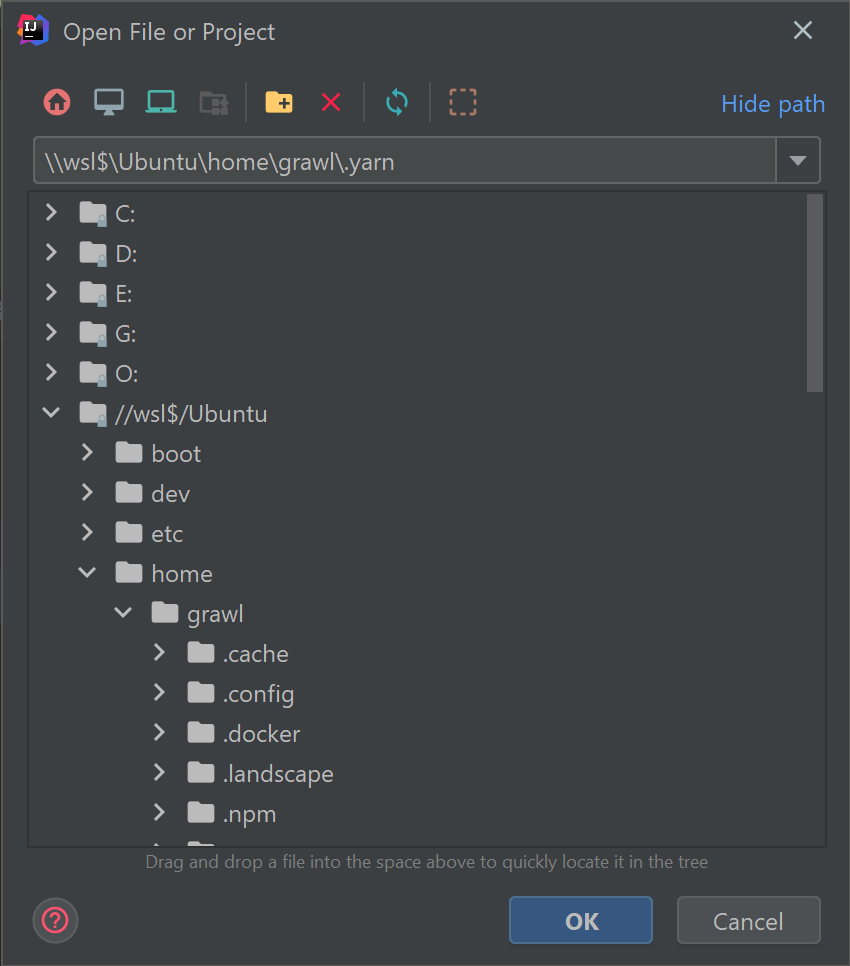 JejtBrains IDE Open dialog recognizing Linux filed installed in WSL