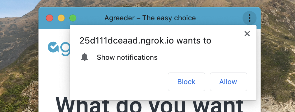 Ask for permission