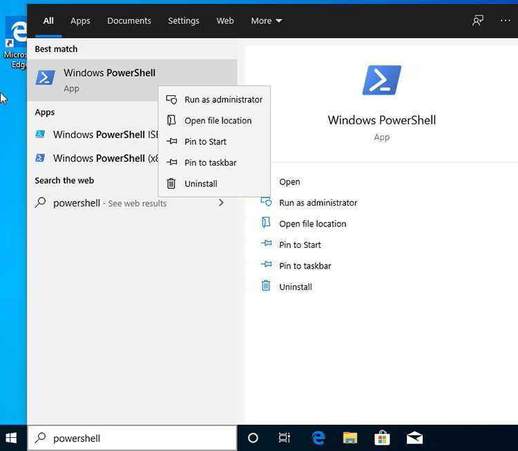 Windows Subsystem for Linux WSL