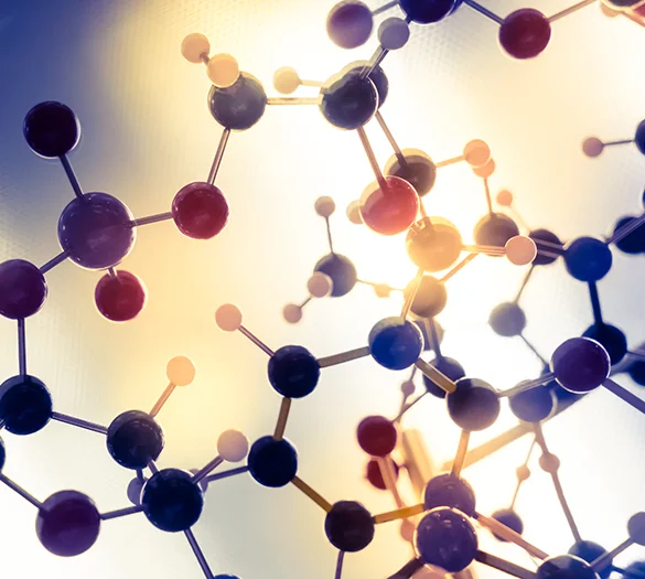 Open Source Community | © Shutterstock