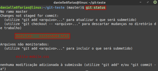 arquivo modificado e outro não rastreado