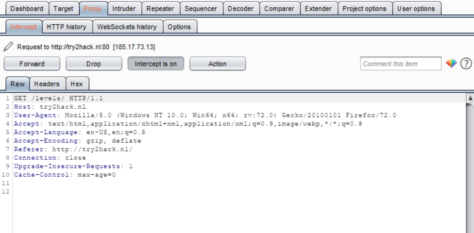 Burp Suite Interceptor Raw Tab