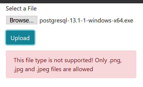 Invalid Type