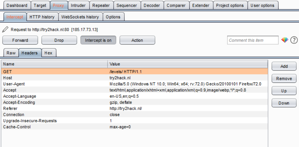 Burp Suite Interceptor Headers Tab