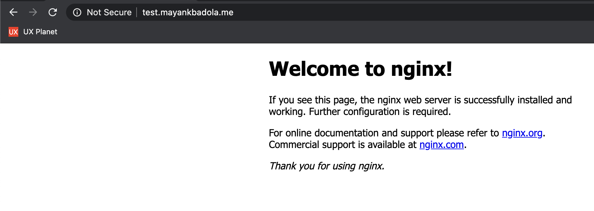 Insecure Nginx Welcome