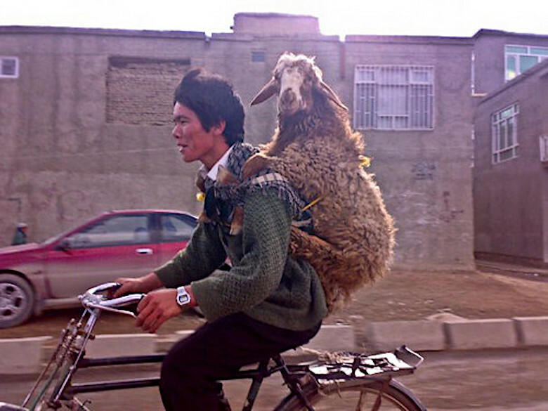 e9d6306b85aa4ce811a0dcca6d033789