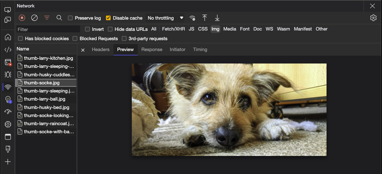 browser developer tools only showing images