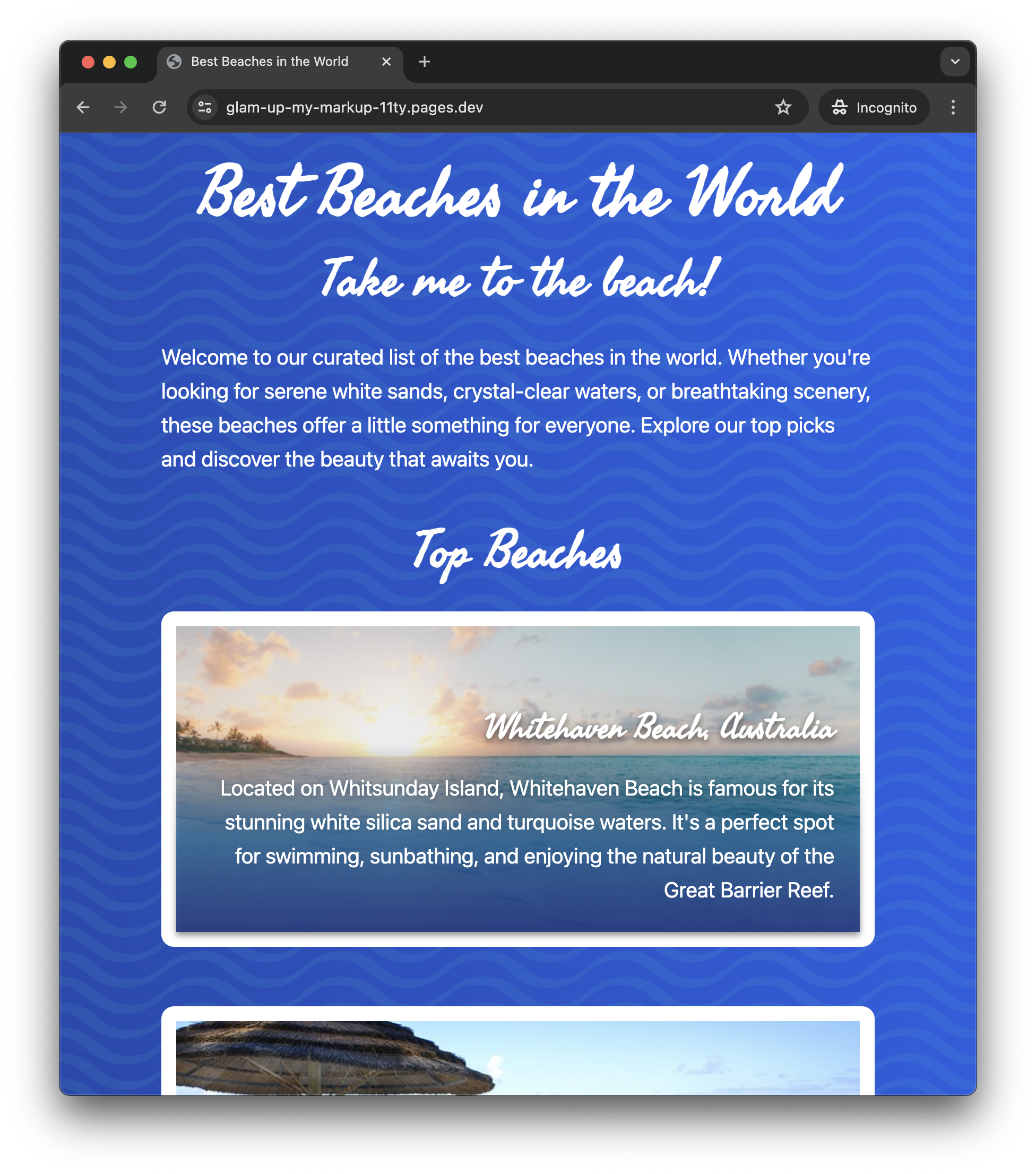 Screenshot of submission, details below