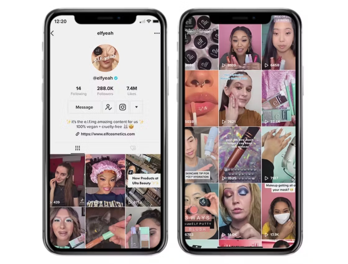 EyesLipsFace TikTok Hashtag Campaign by e.l.f.