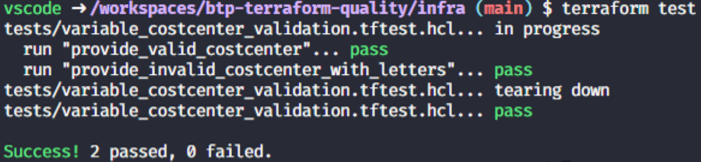 Terraform Test output of first unit test