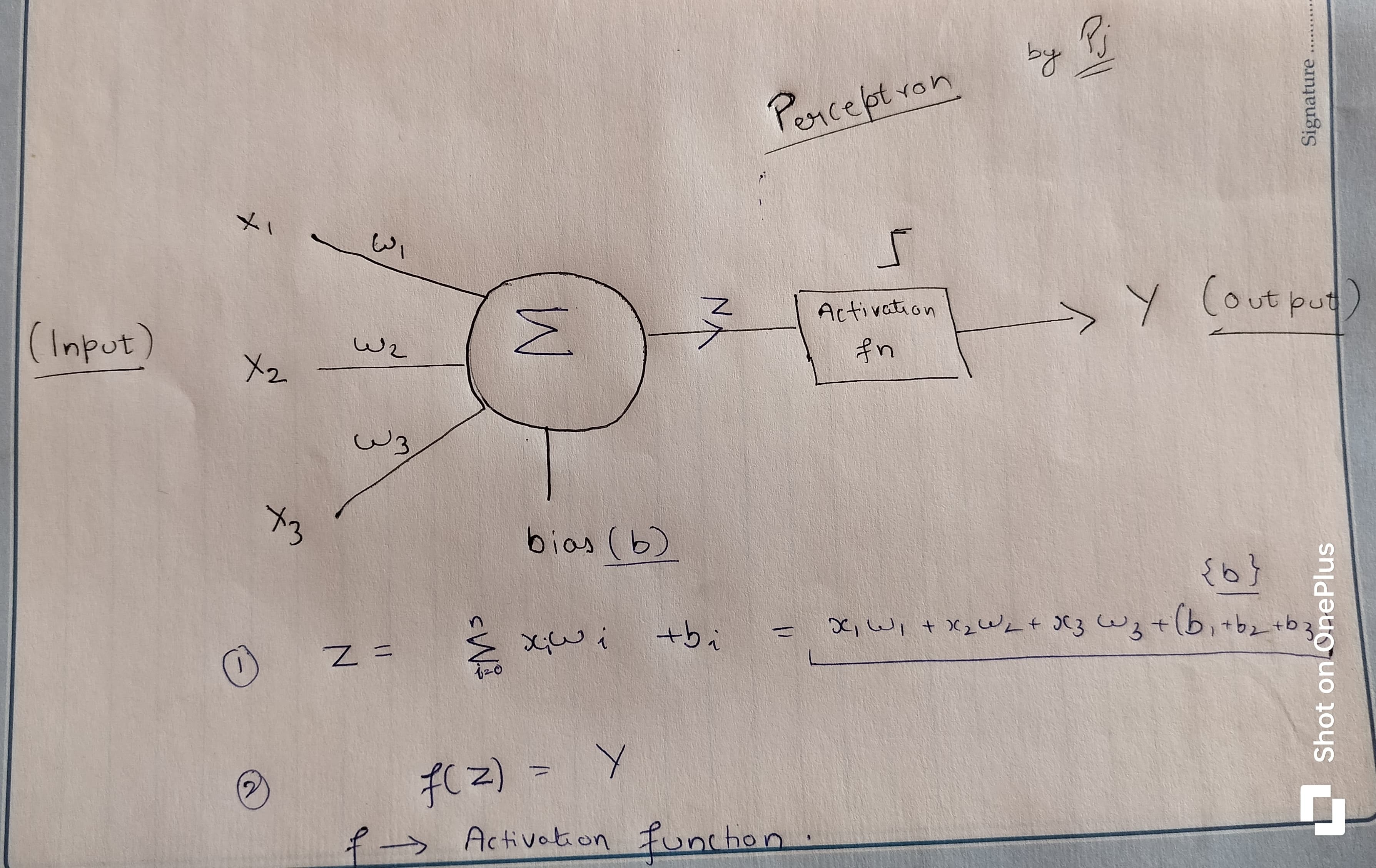 Perceptron