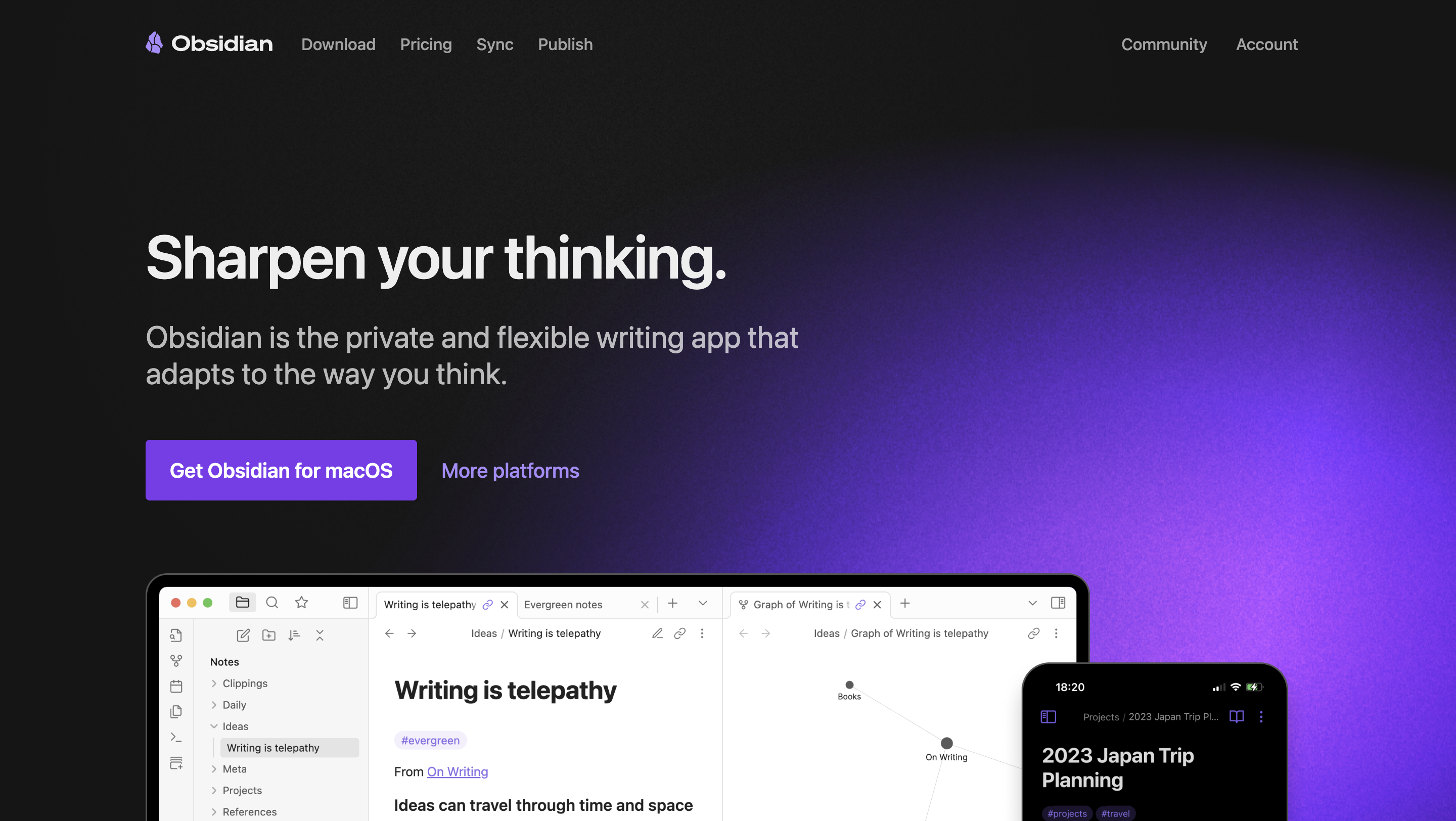 Obsidian Hero Section