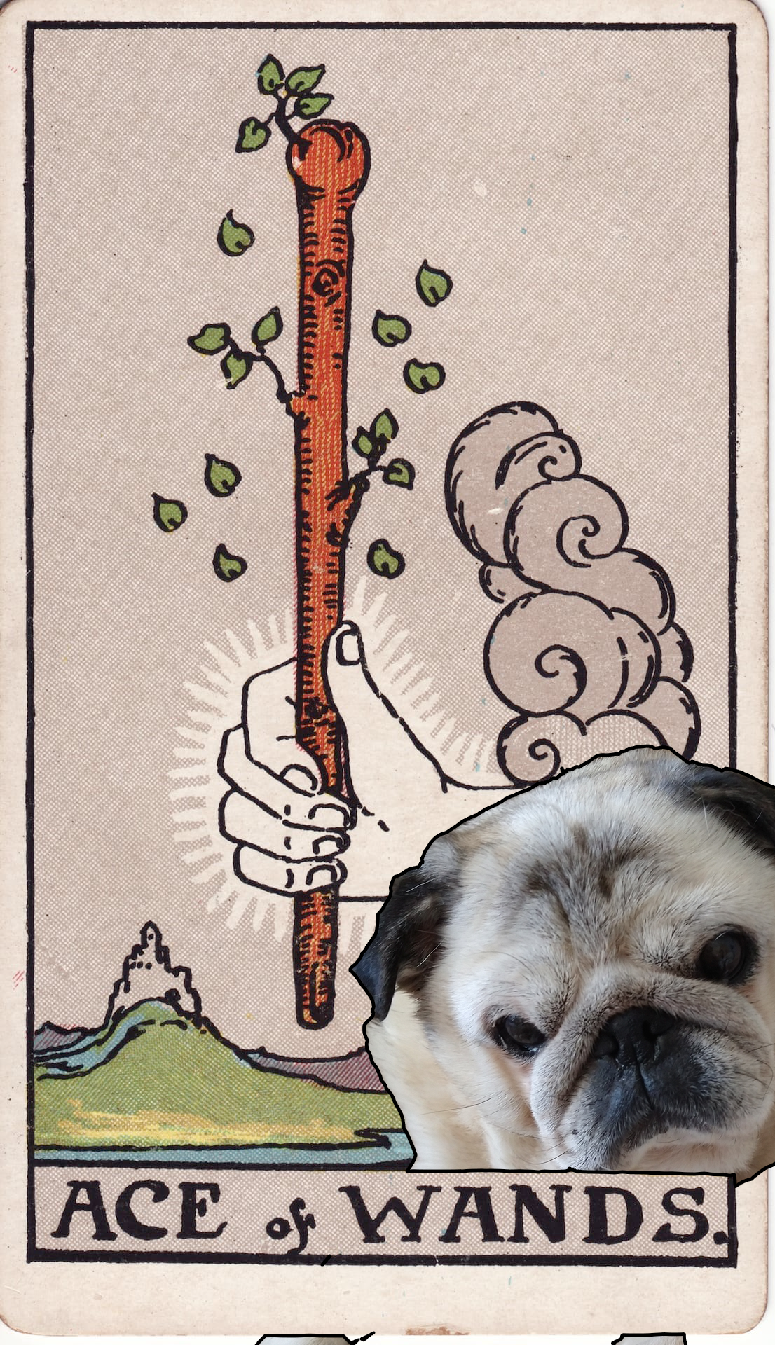 Gary Photoshopped poorly into the Rider-Waite tarot card for the Ace of Wands -- no effort was made to incorporate Gary in any logical way