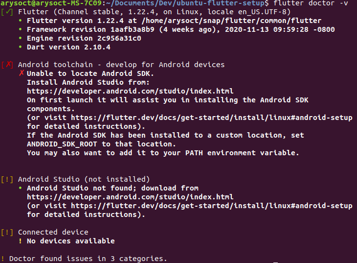 flutter doctor output
