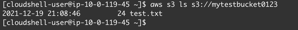 aws s3 ls working correctly from CloudShell after S3 Bucket Policy update