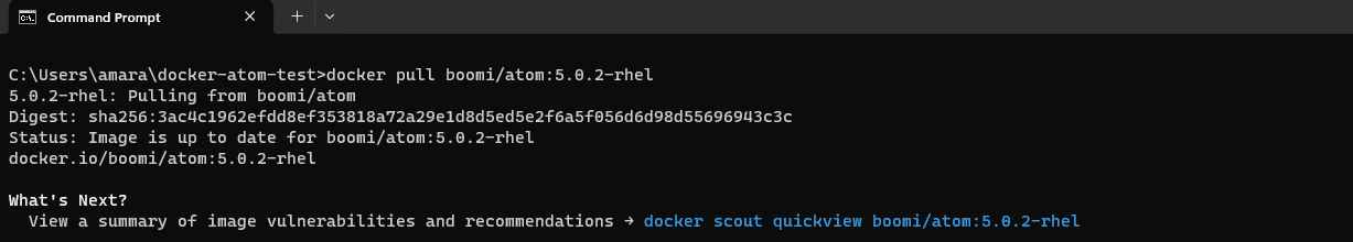 Terminal console after pulling the Boomi docker image