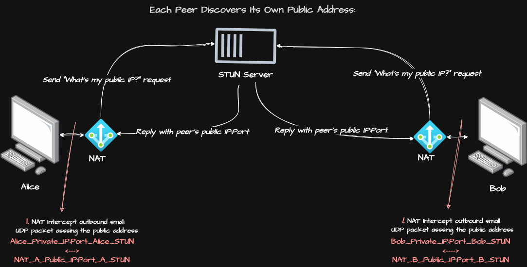 Each Peer Discovers Its Own Public Address.png