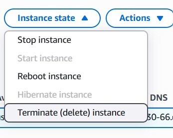 Terminate button disabled or error message