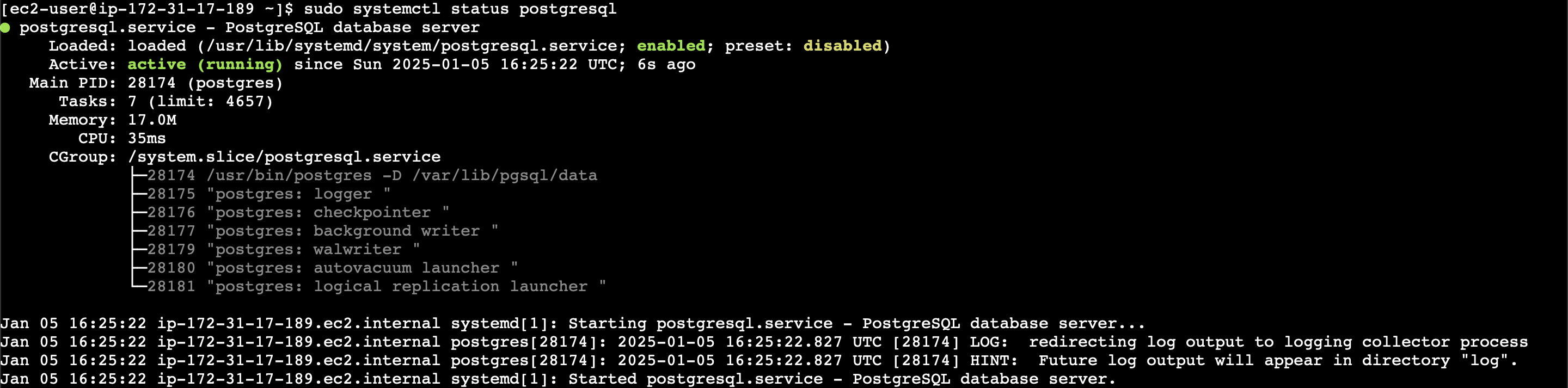 Estado del servicio PostgreSQL