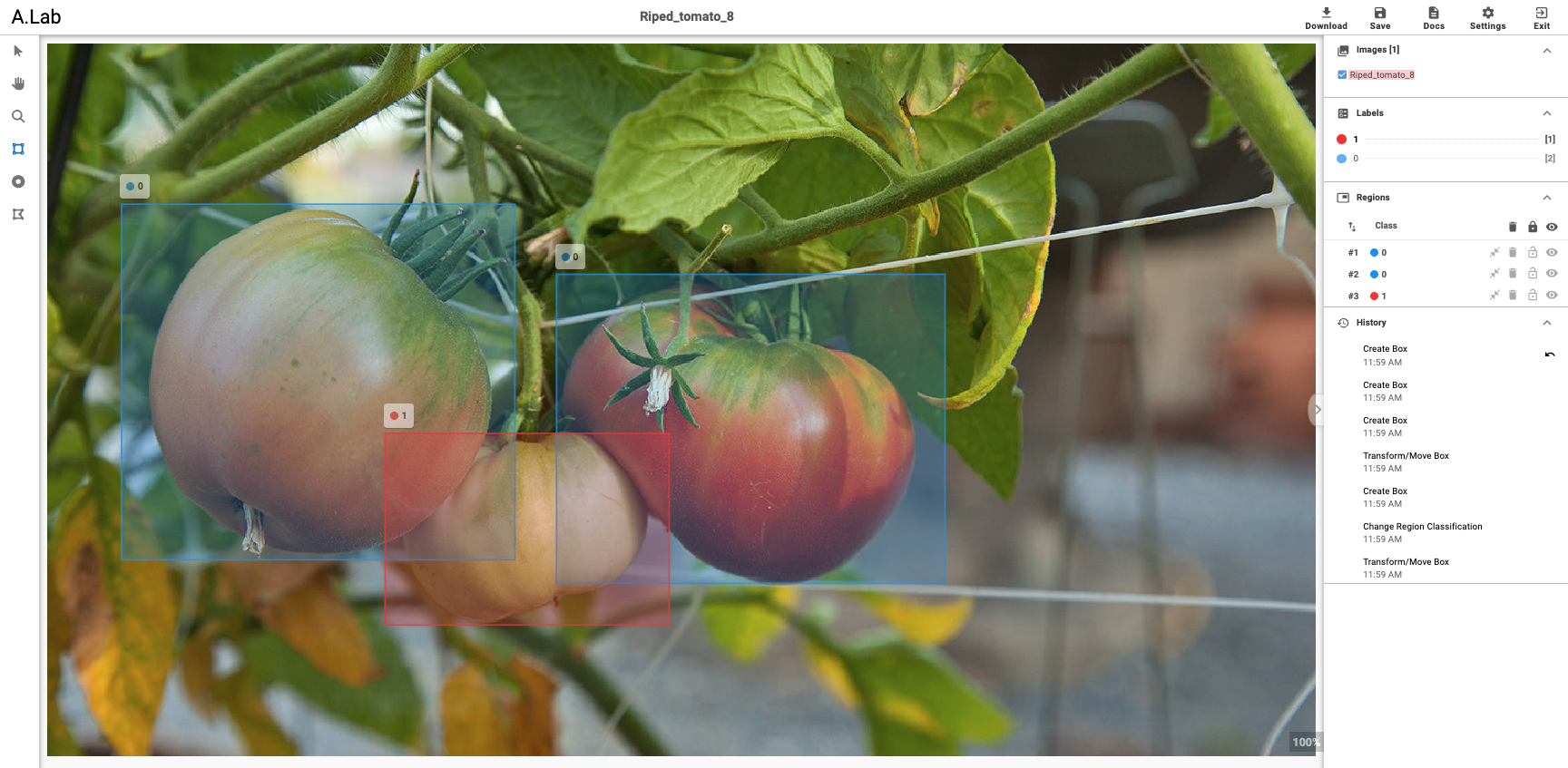 YOLO Annotation Example