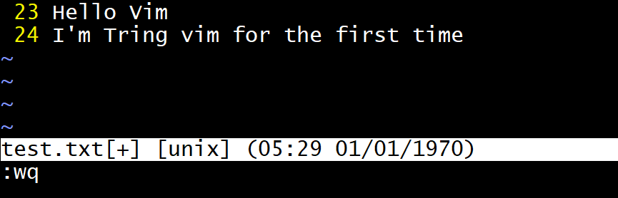 hello vim screenshot