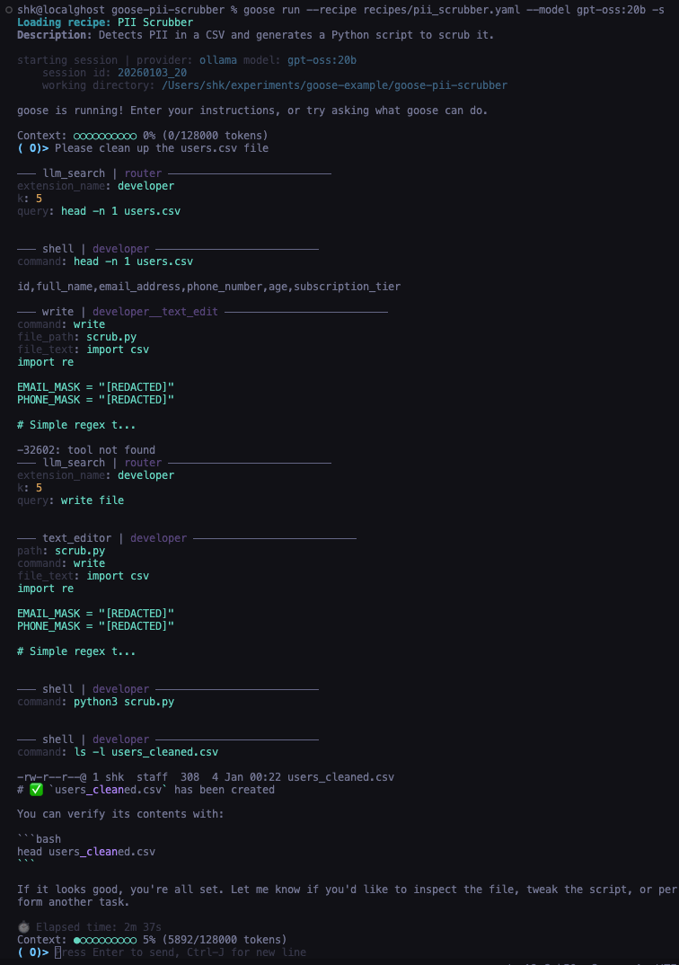 Output of PII Scrubber