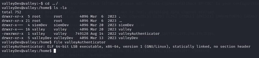 ELF 64 bits