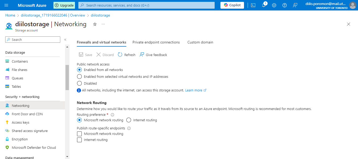 enable public network access
