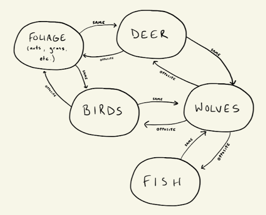 A more technical illustration of the dependency between a predator like the wolf and other flora and fauna in its ecosystem. There are multiple predator/prey relationships in the graph and each one impacts the others.