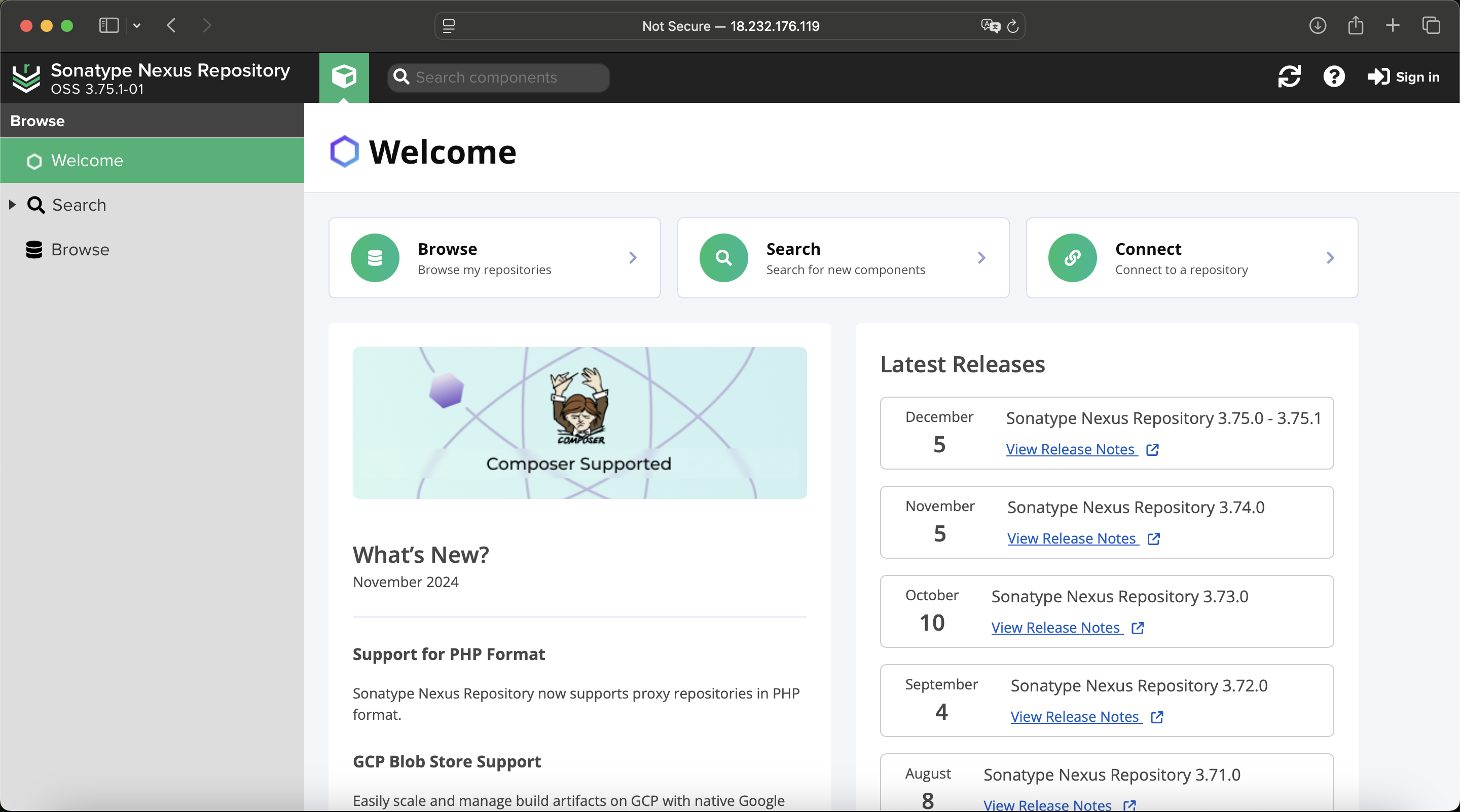 Primera vista inicial de Nexus Repository Manager