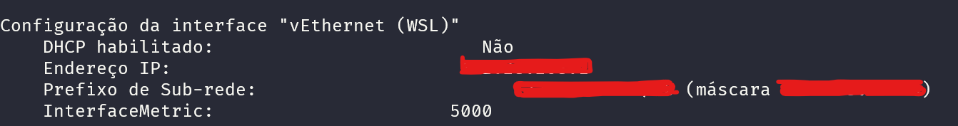 mostrando o resultado do comando no terminal