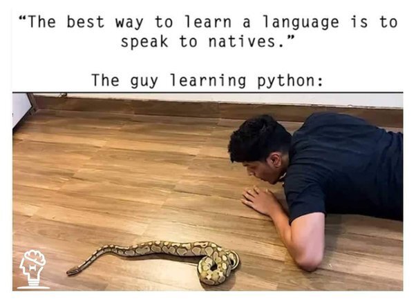 Guy learning Python