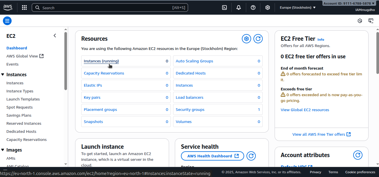 EC2 instances view