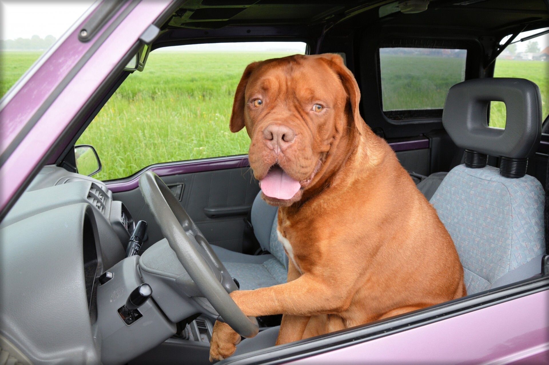 AI Agents Drive Safely