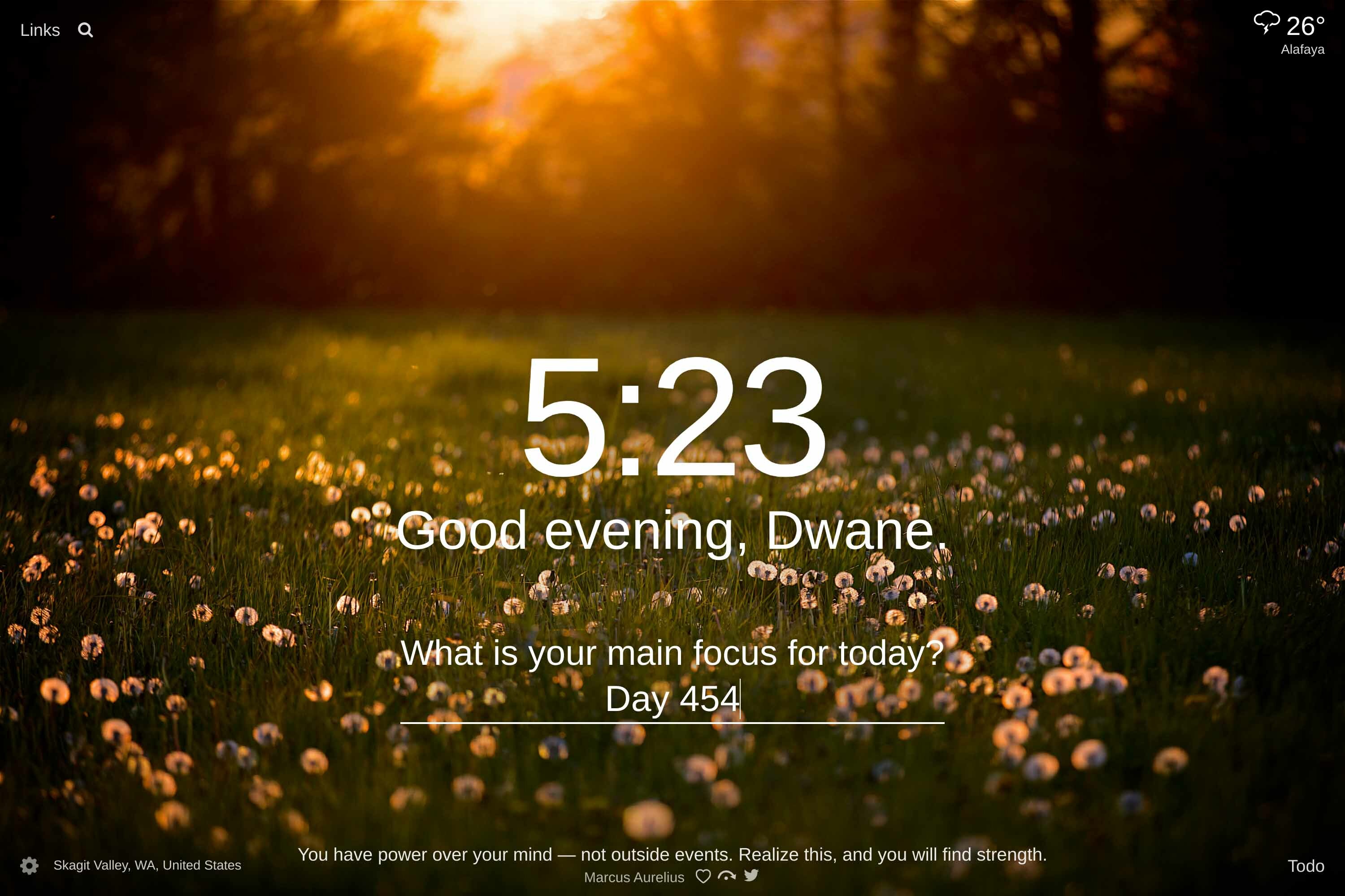 A field of green grass with little white flowers and a forest in the distance at sunset in Skagit Valley, WA, United States