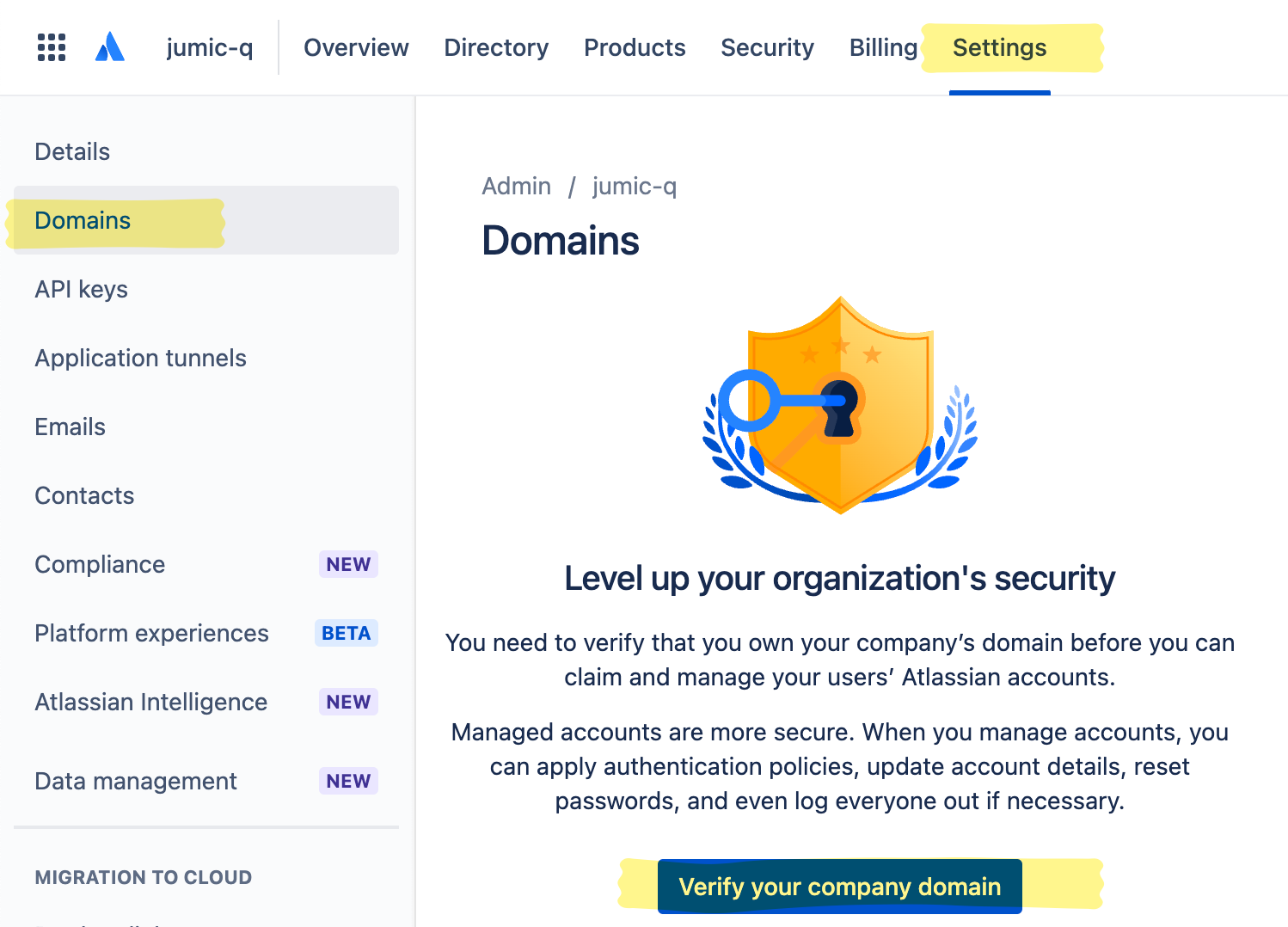 Confluence: Verify your company domain