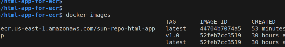 pulled-image-from-ecr