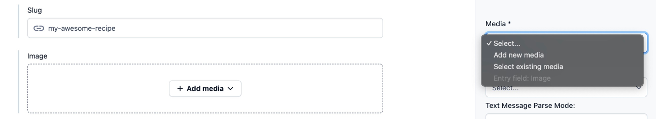 Sidebar - Entry Media Overview