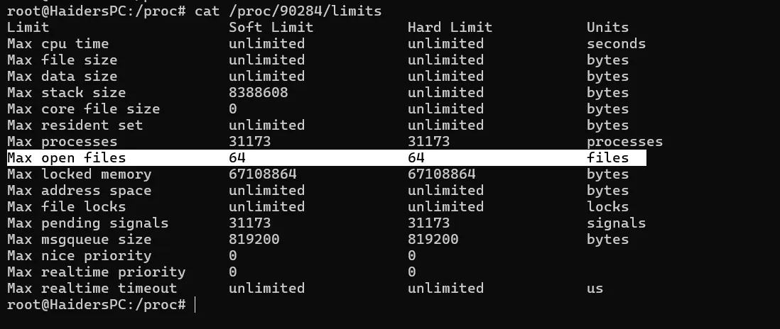 cat /proc/<PID>/limits