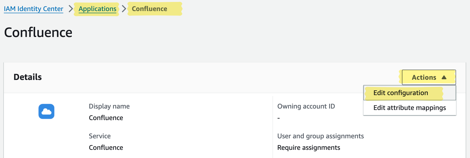 AWS IAM Identity Center values