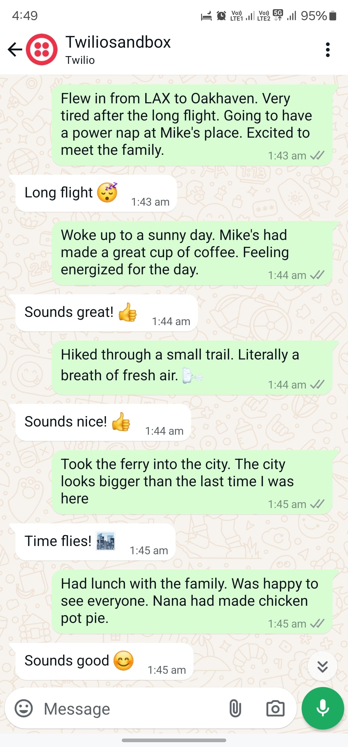 Whatsapp Chat with texts