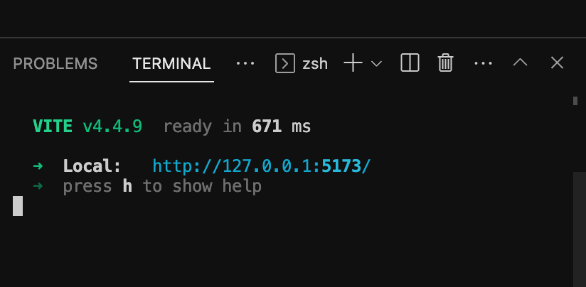 vite running in vscode terminal