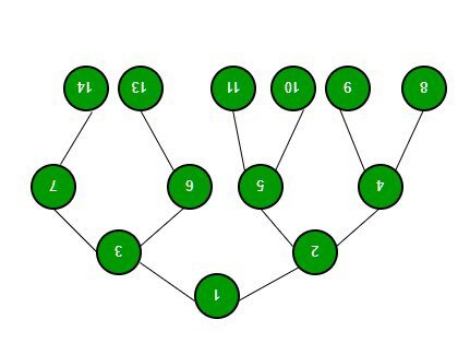 Best Udemy course to learn Algorithms and Data Structures
