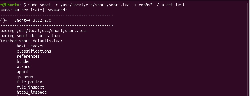 snort starting - commencing packet processing