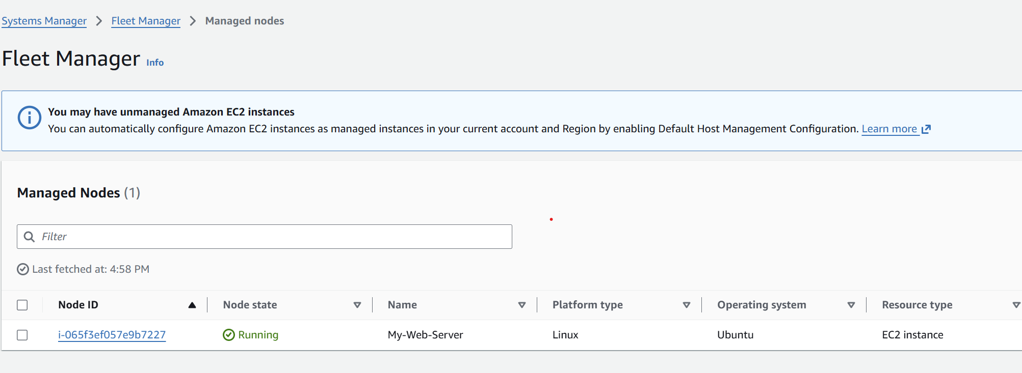 Systems Manager Fleet Manager showing the EC2 instance connected