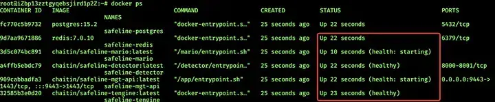 Docker containers status