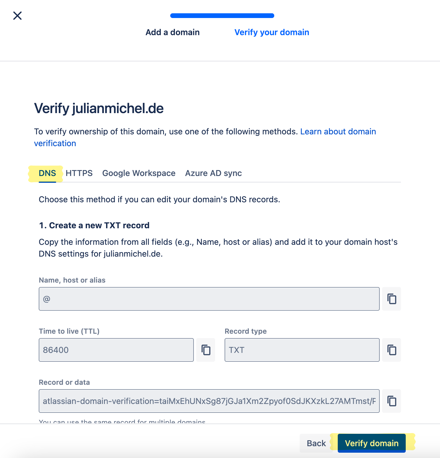 Domain DNS verification
