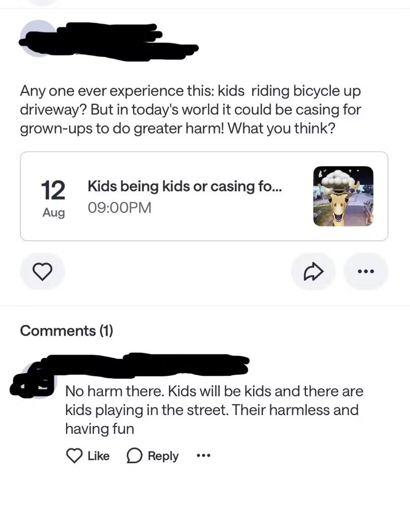 Nextdoor "Crime & Safety" Thread